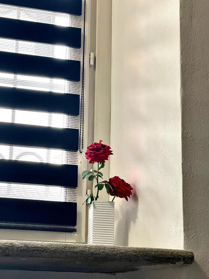 Apartament Ca D La Trifola Free Parking Alba  Zewnętrze zdjęcie